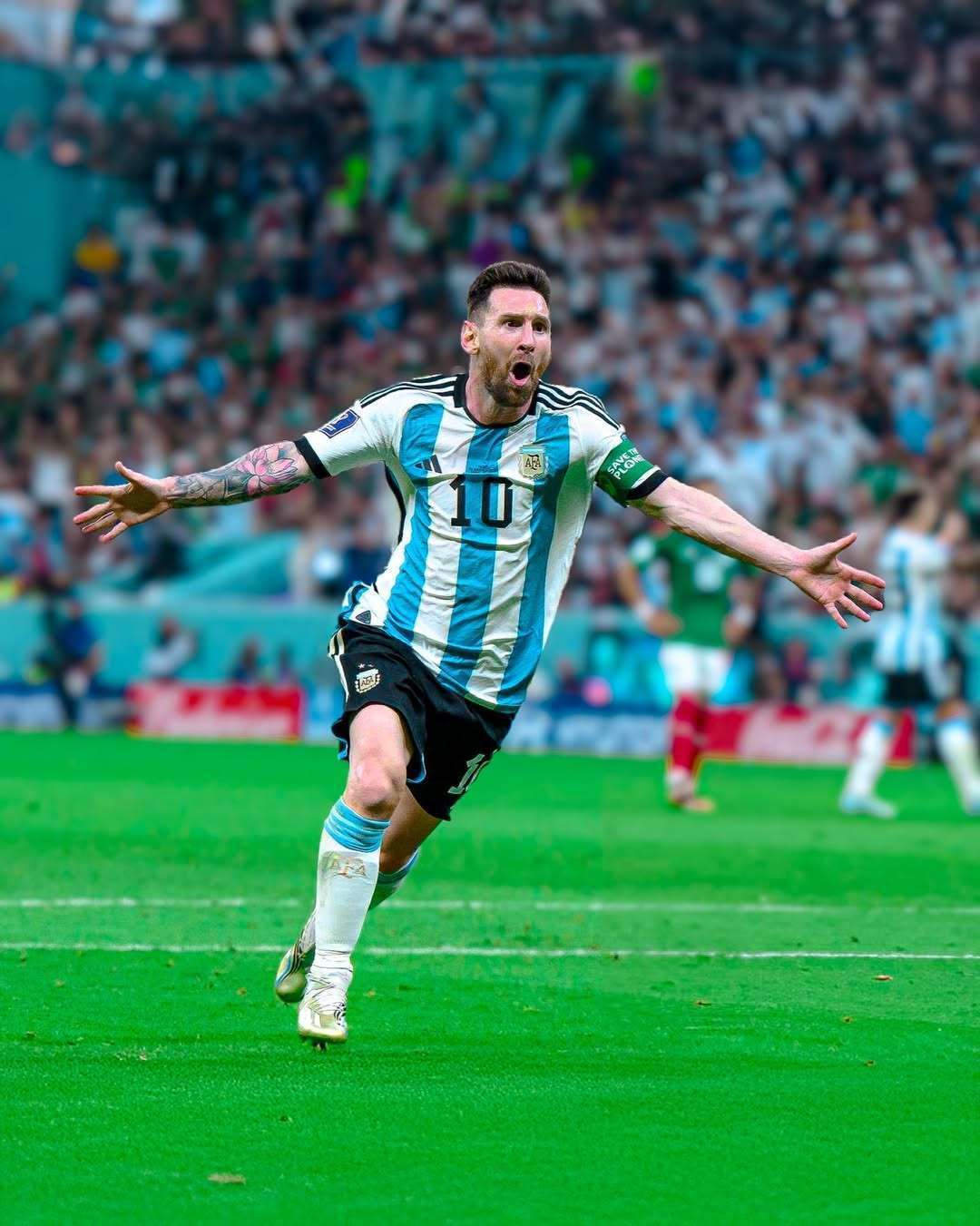 我可以在 我可以在