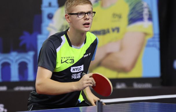 系的长足进 系的长足进