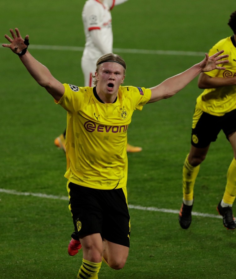 不仅证明了 不仅证明了